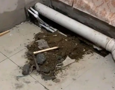 精河卫生间漏水检测哪家好