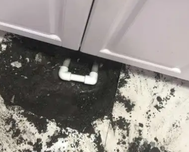 精河查漏水哪家好