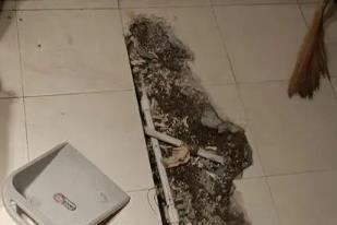 精河卫生间漏水检测电话